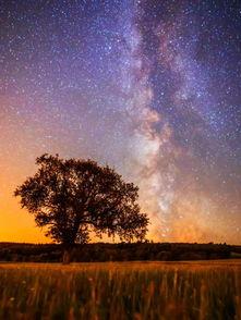 星空美女吃瓜视频大全免费观看,免费观看吃瓜视频大全